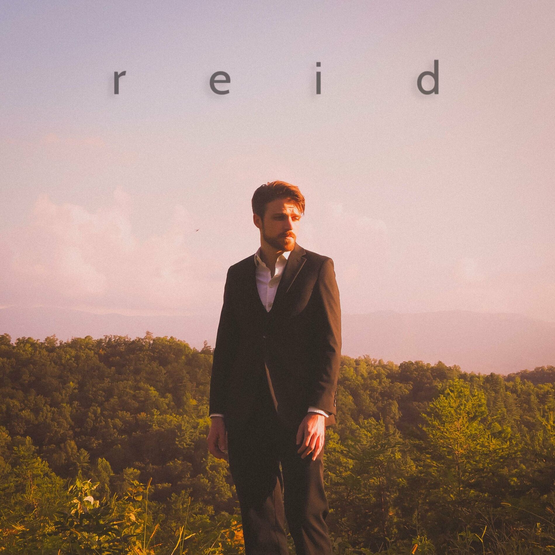 Album cover of reid