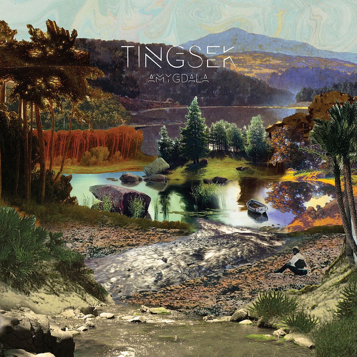 Album cover of Amygdala