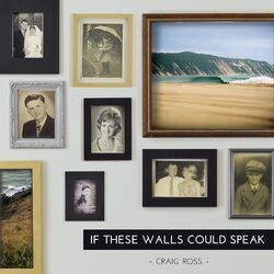 Cover of If These Walls Could Speak