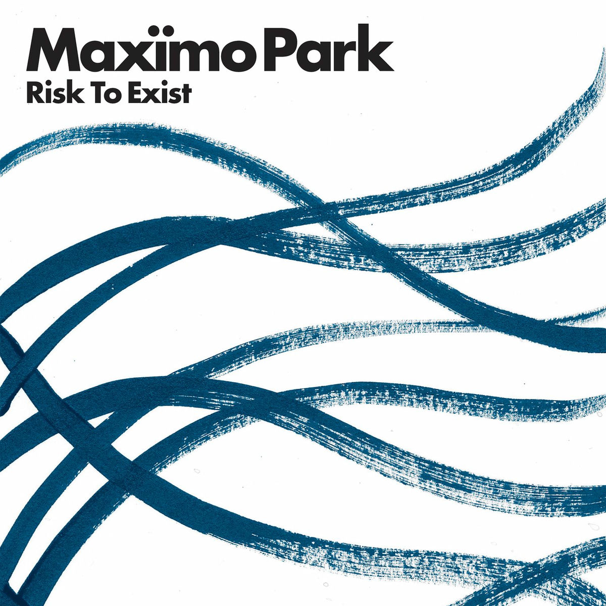 Album cover of Risk to Exist