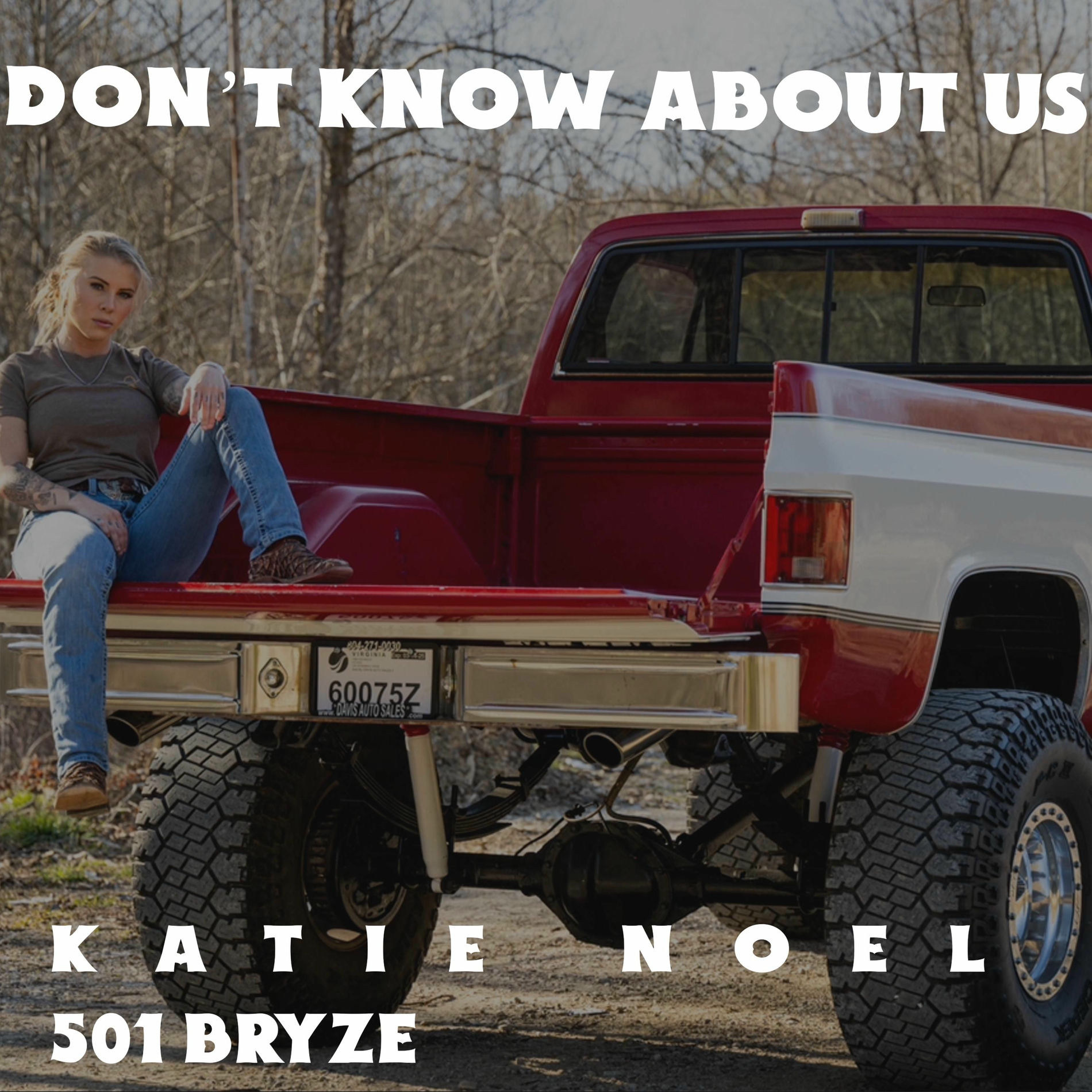 Album cover of Don't Know About Us (feat. 501Bryze)