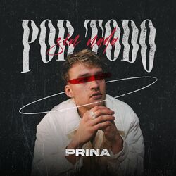 Cover of Por Todo Sin Nada