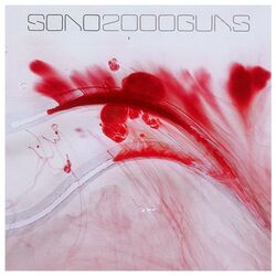 Cover of 2000 Guns