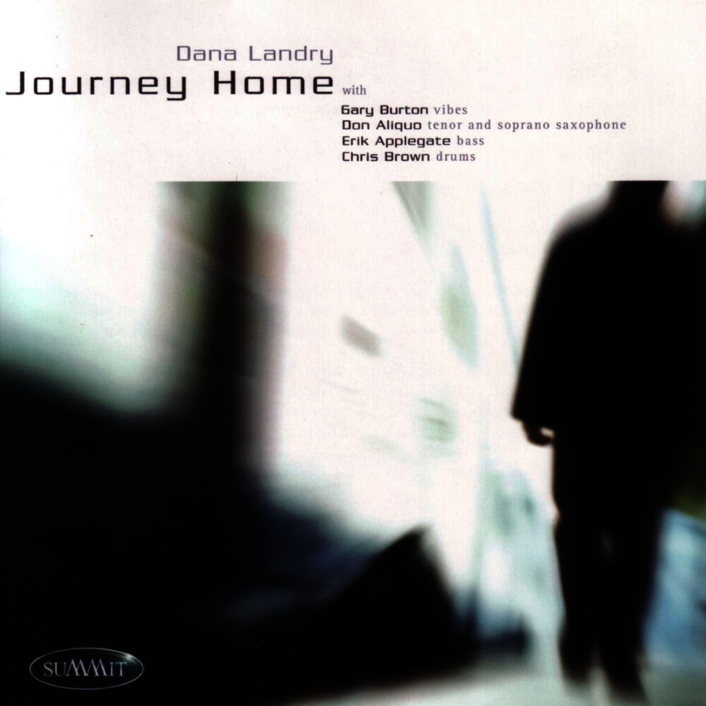 Picture of Journey Home