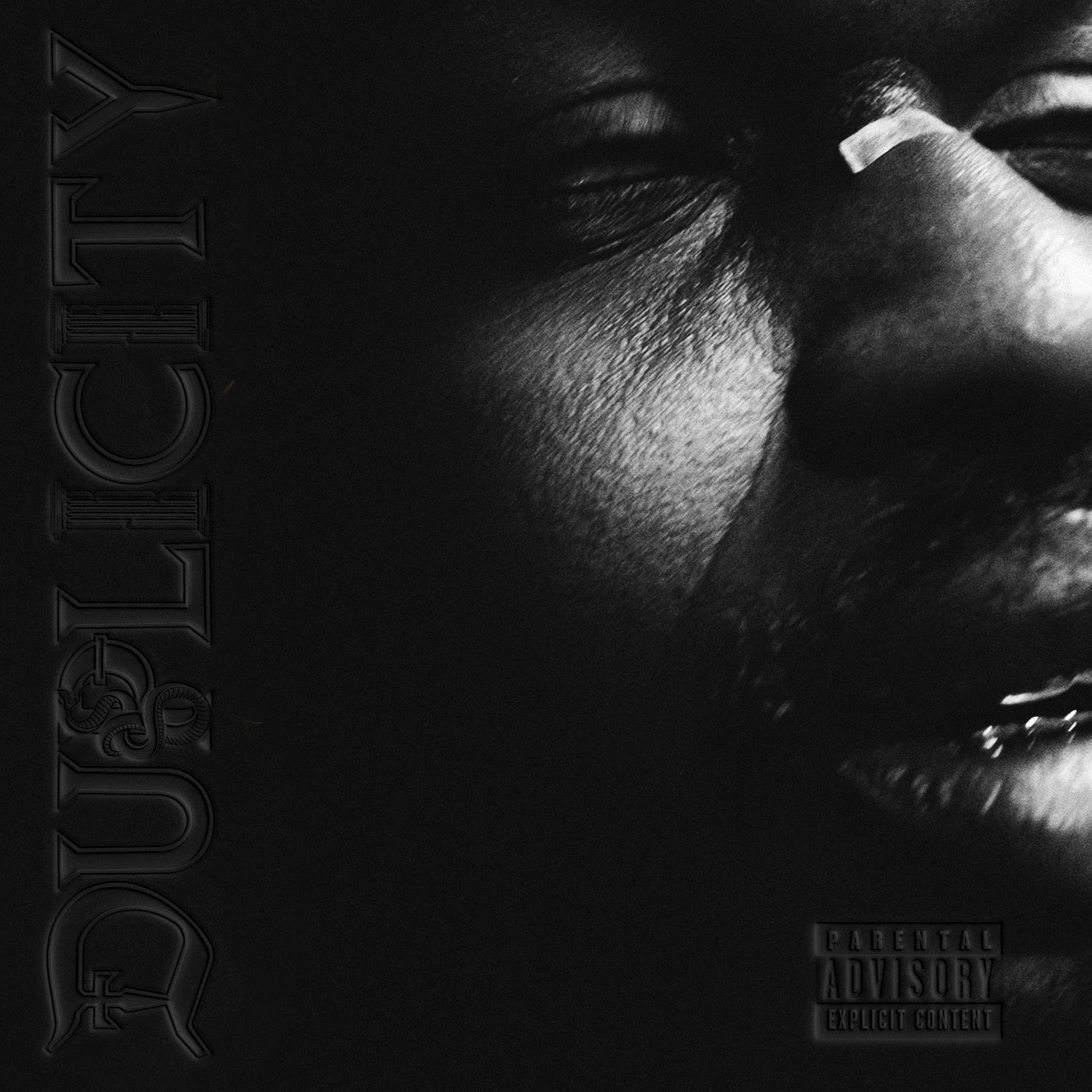Album cover of Duplicity