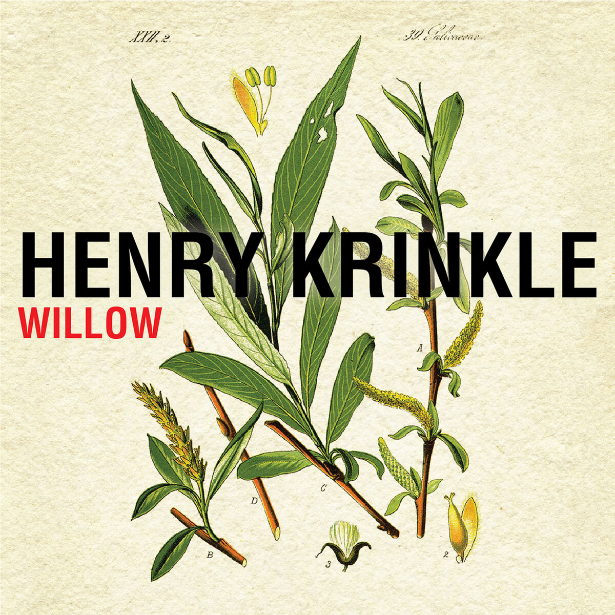 Album cover of Willow