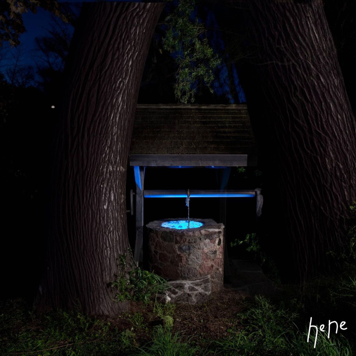 Album cover of nene