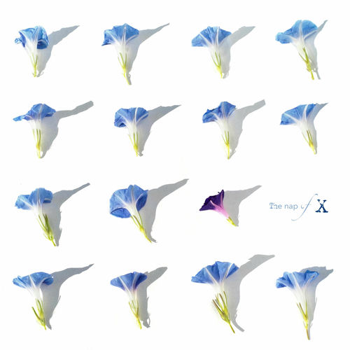 Aleph – The nap of X – Single