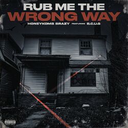 Cover of Rub Me The Wrong Way (feat. B.C.U.G)
