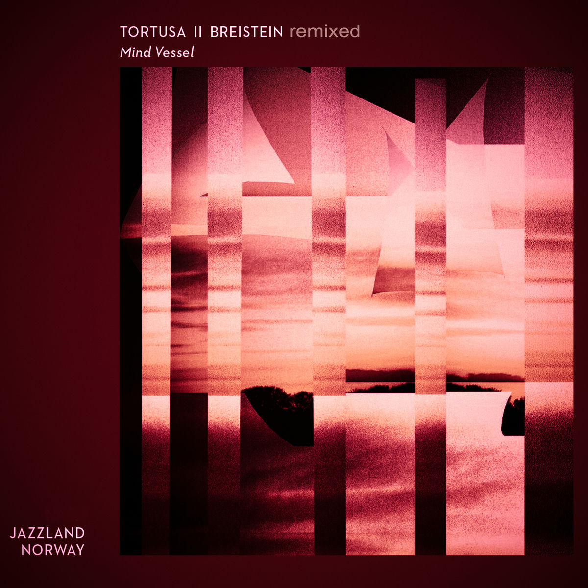 Album cover of Mind Vessel Remix EP