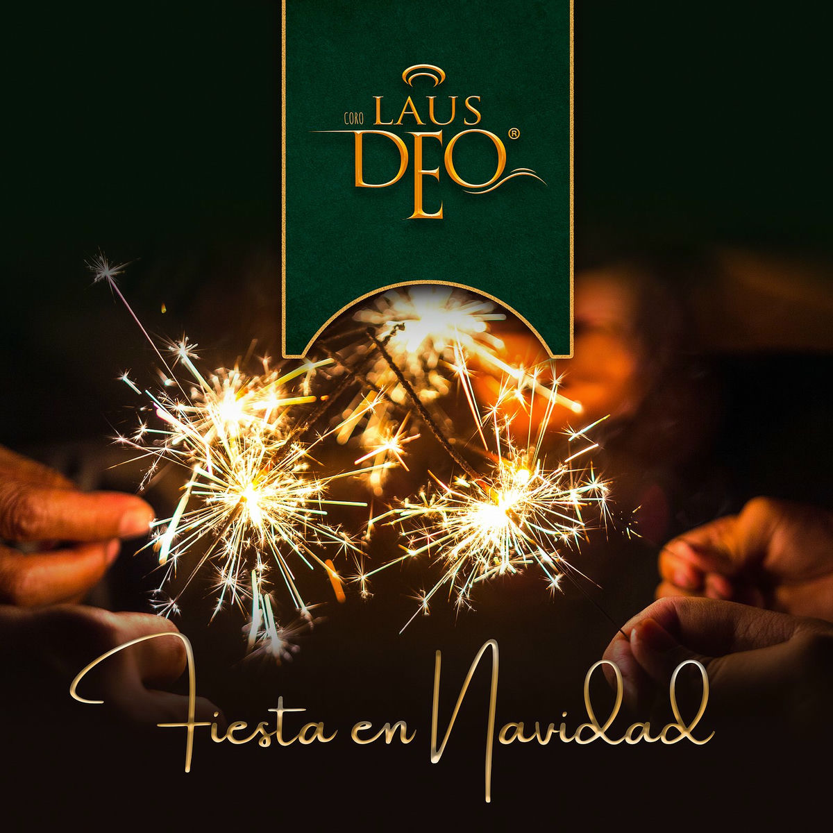 Album cover of Fiesta En Navidad