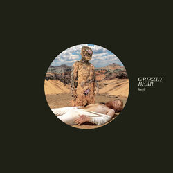 Cover of Knife