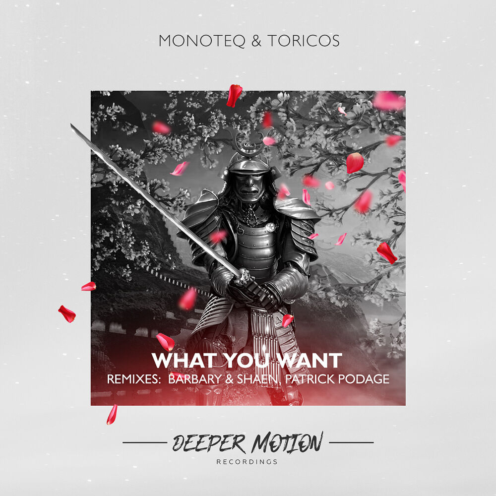 Picture of What You Want (The Remixes)