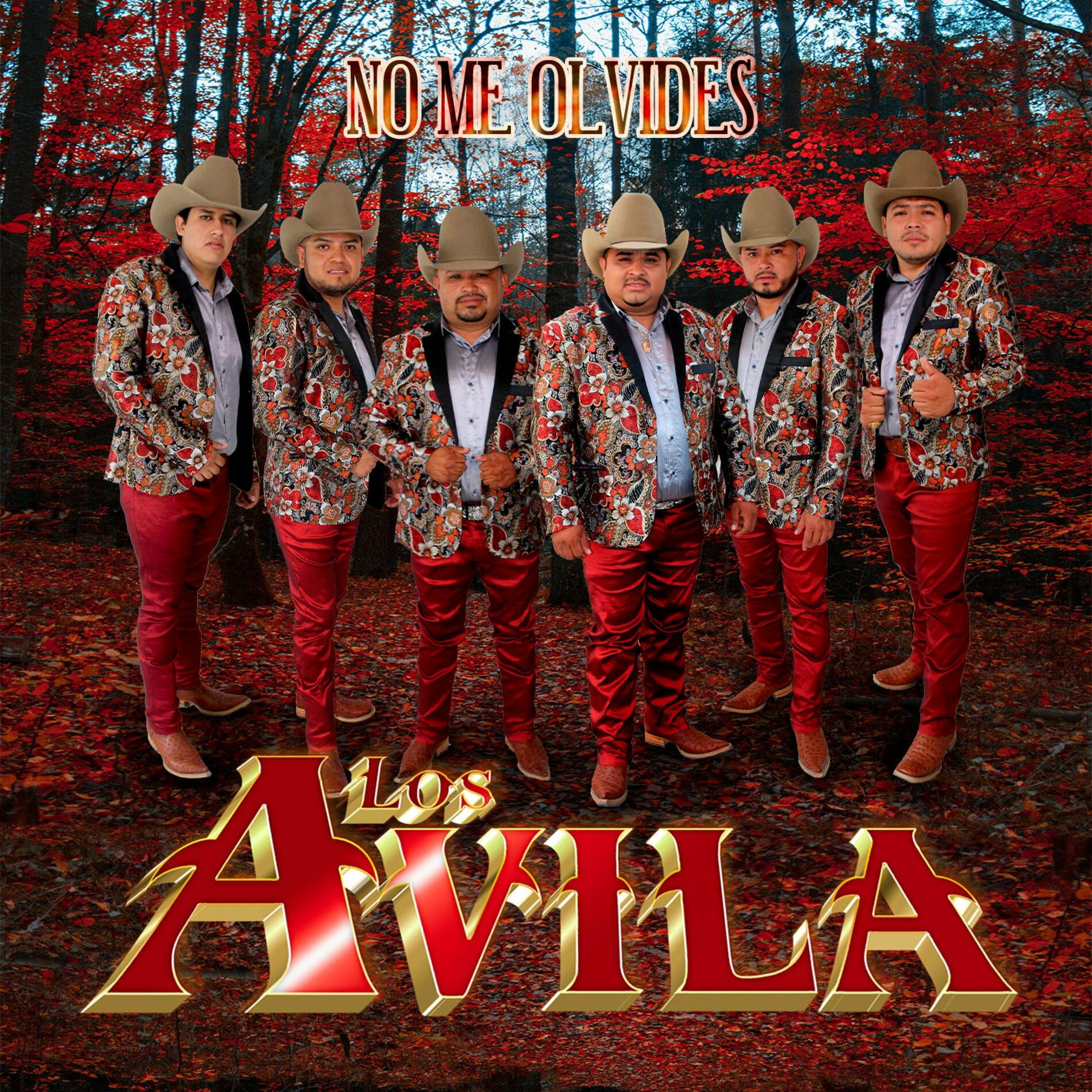 Album cover of No Me Olvides