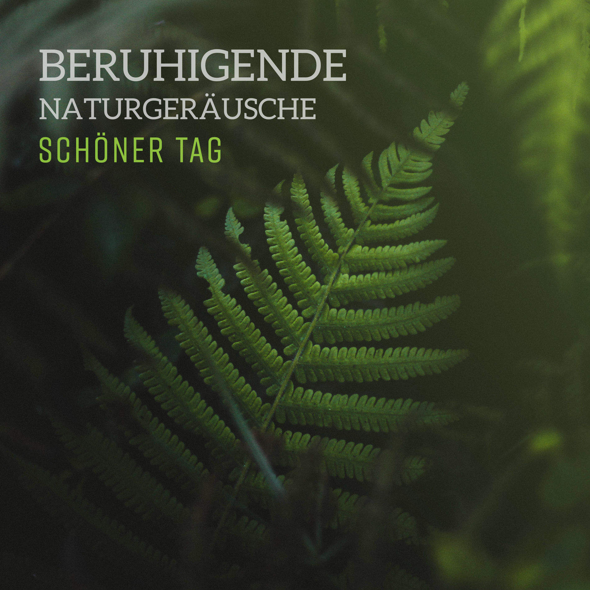 Album cover of Beruhigende naturgeräusche – Schöner tag