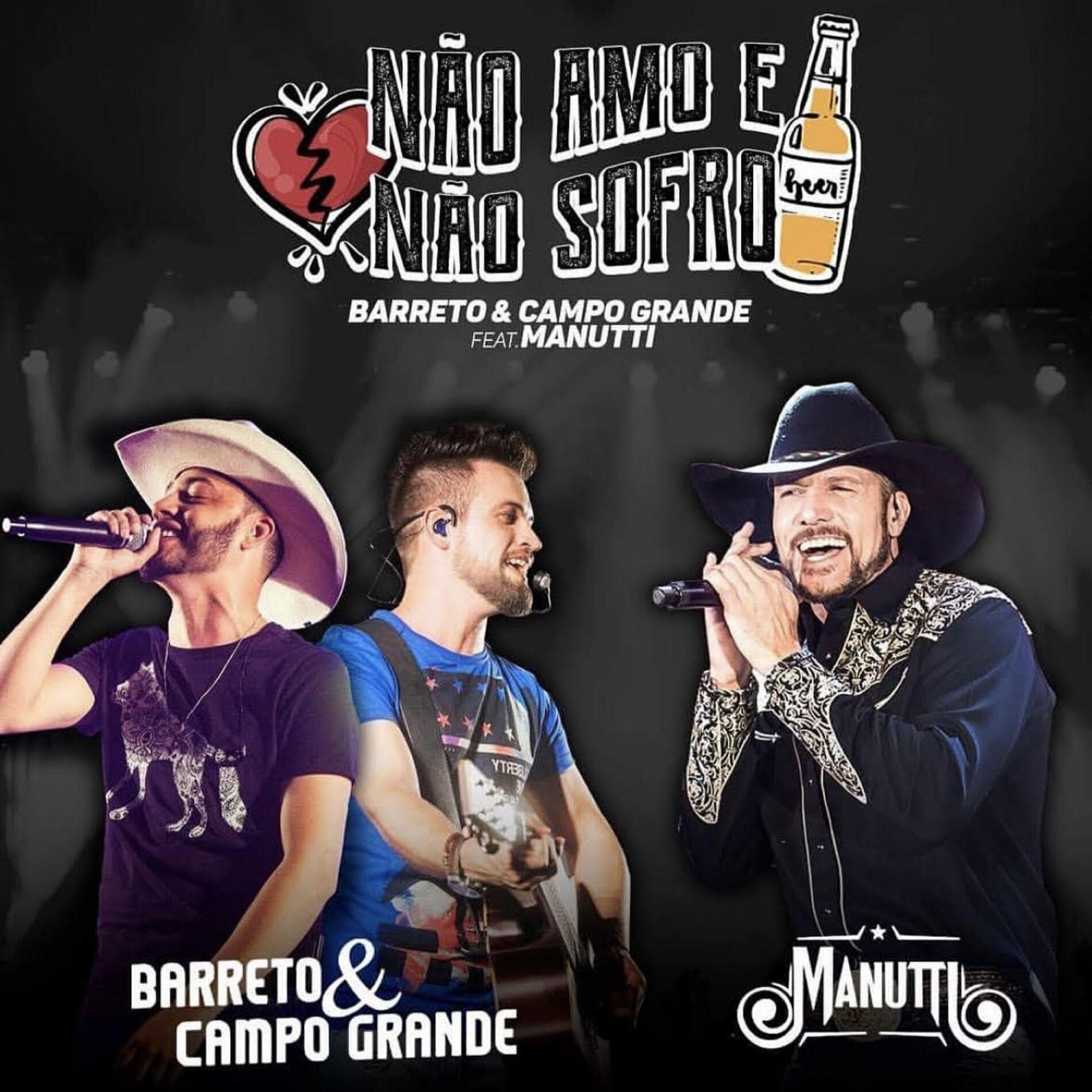 Album cover of Não Amo e Não Sofro
