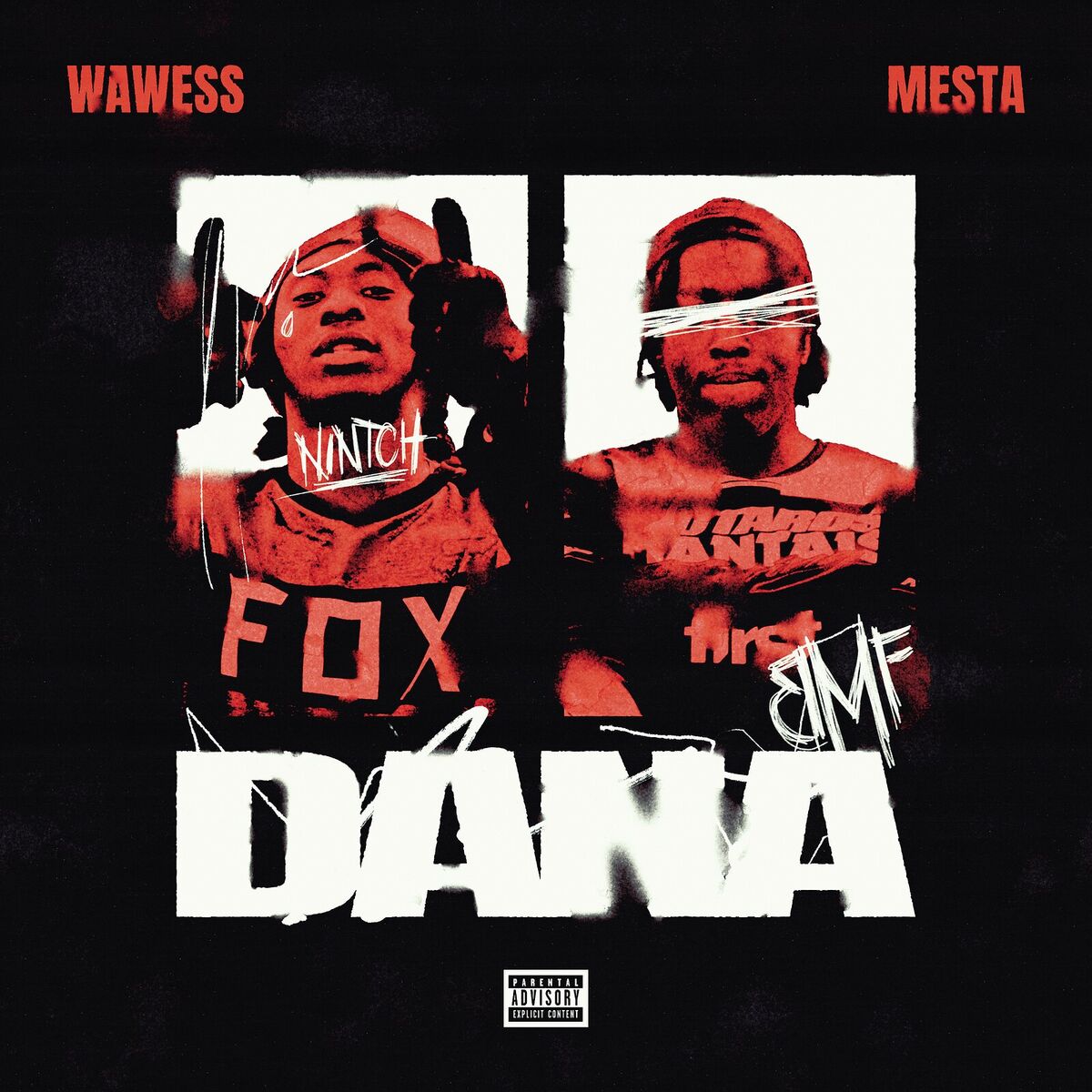 Album cover of DANA