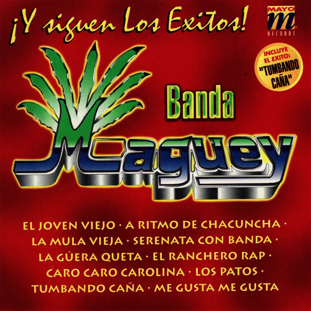 Picture of Y Siguen Los Exitos