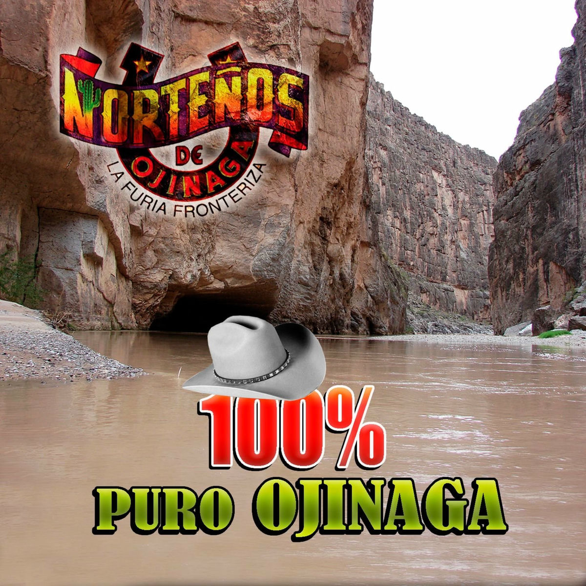 Album cover of 100% Puro Ojinaga