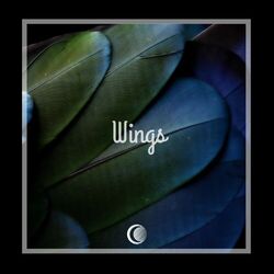 Cover of Wings