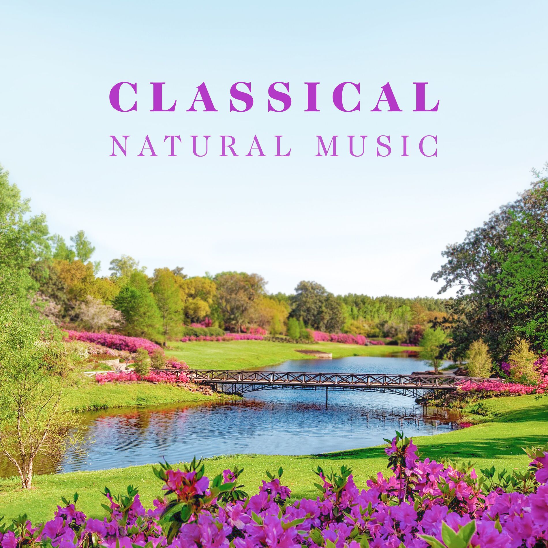 Album cover of Classical Natural Music