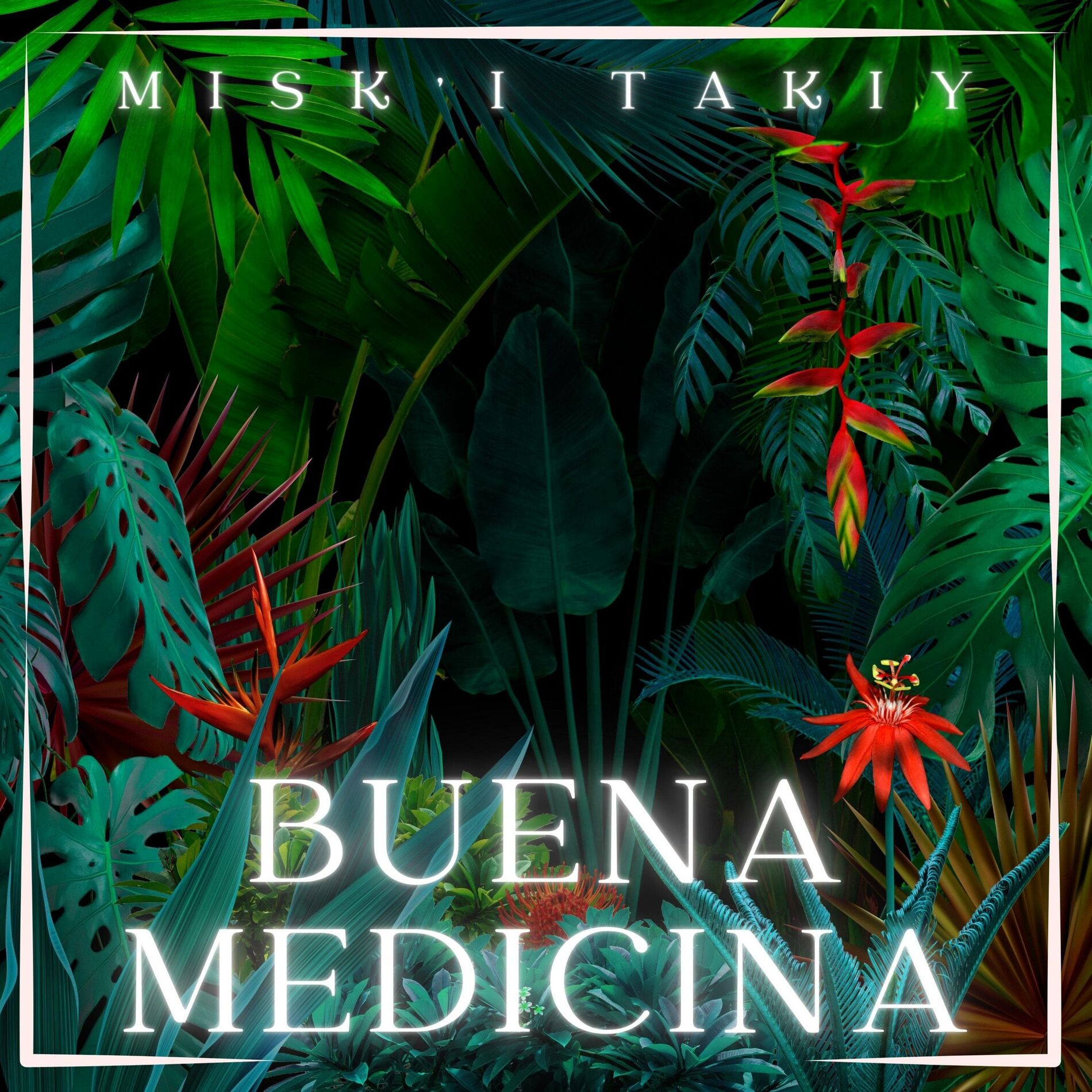 Album cover of Buena Medicina