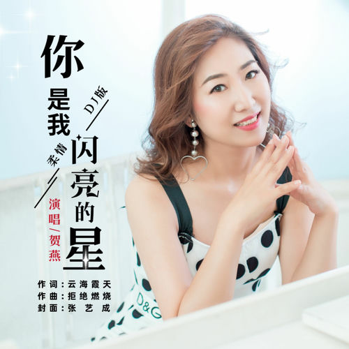你是我闪亮的星 (柔情DJ版)