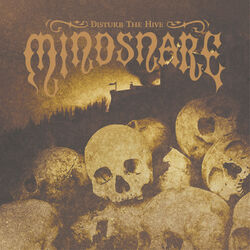 Cover of Disturb the Hive