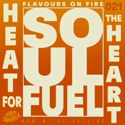 Cover of Soul Fuel