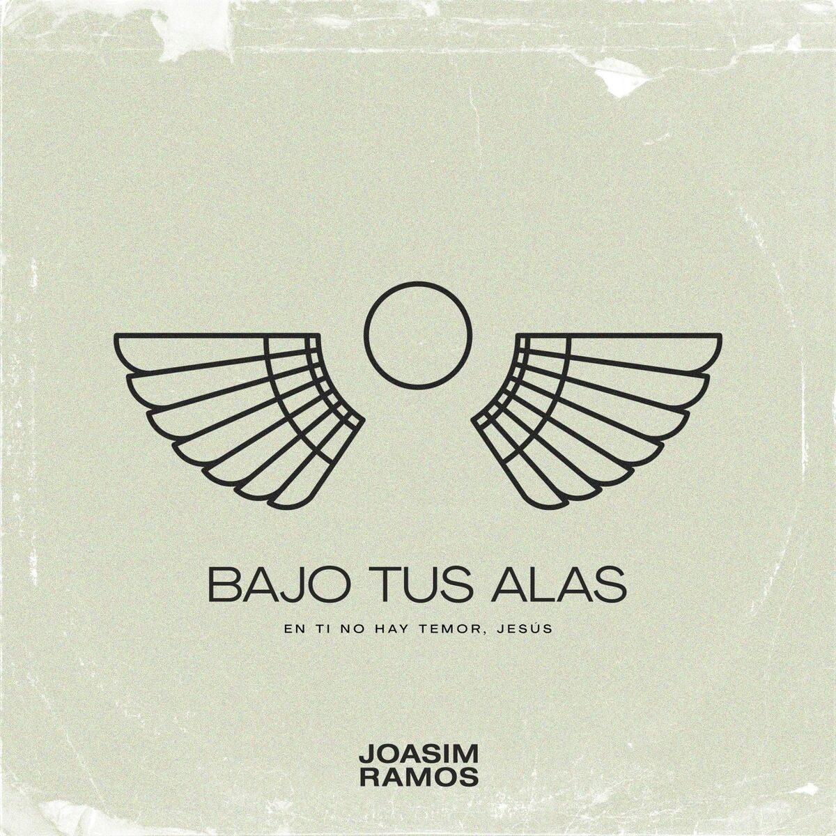 Album cover of Bajo Tus Alas