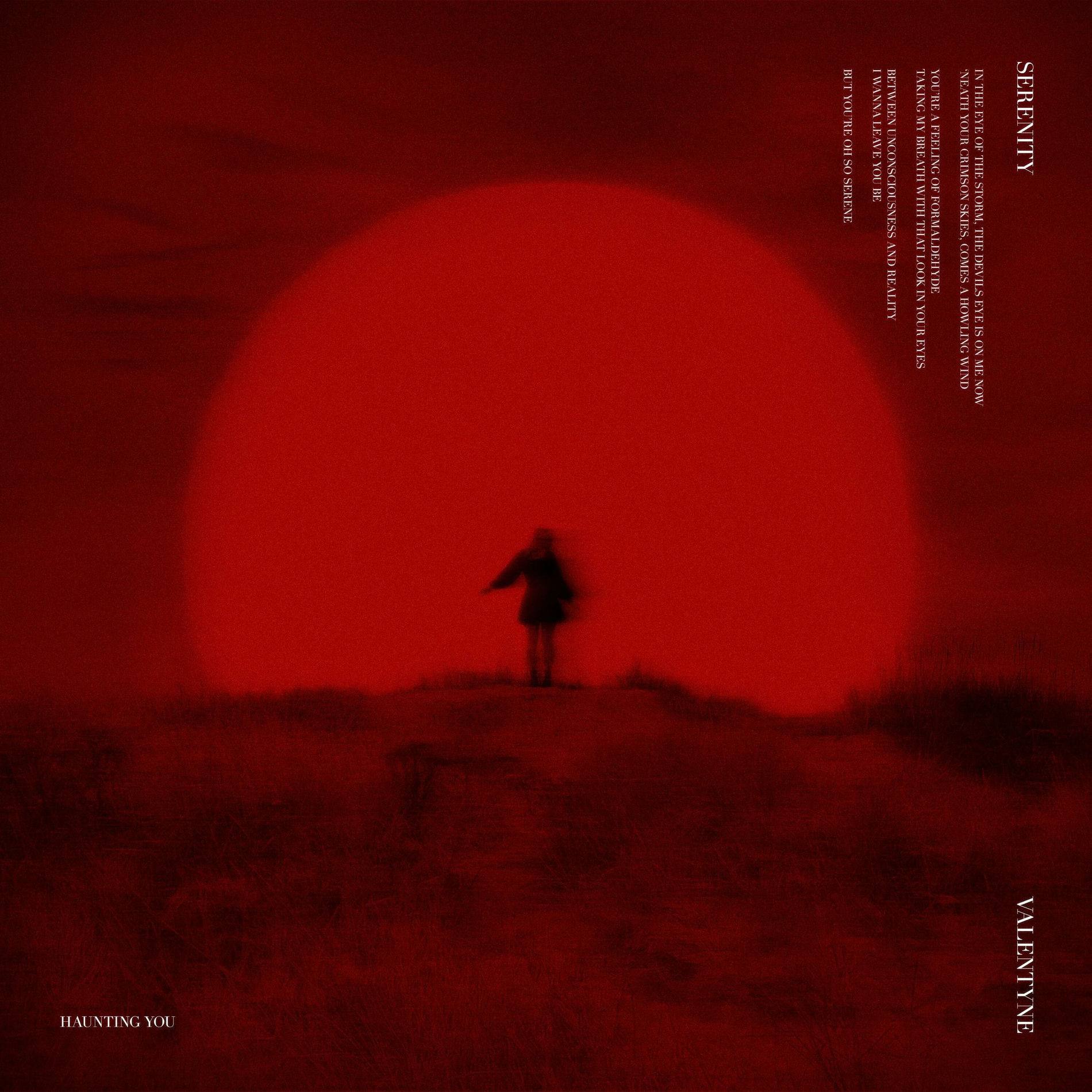 Album cover of Serenity