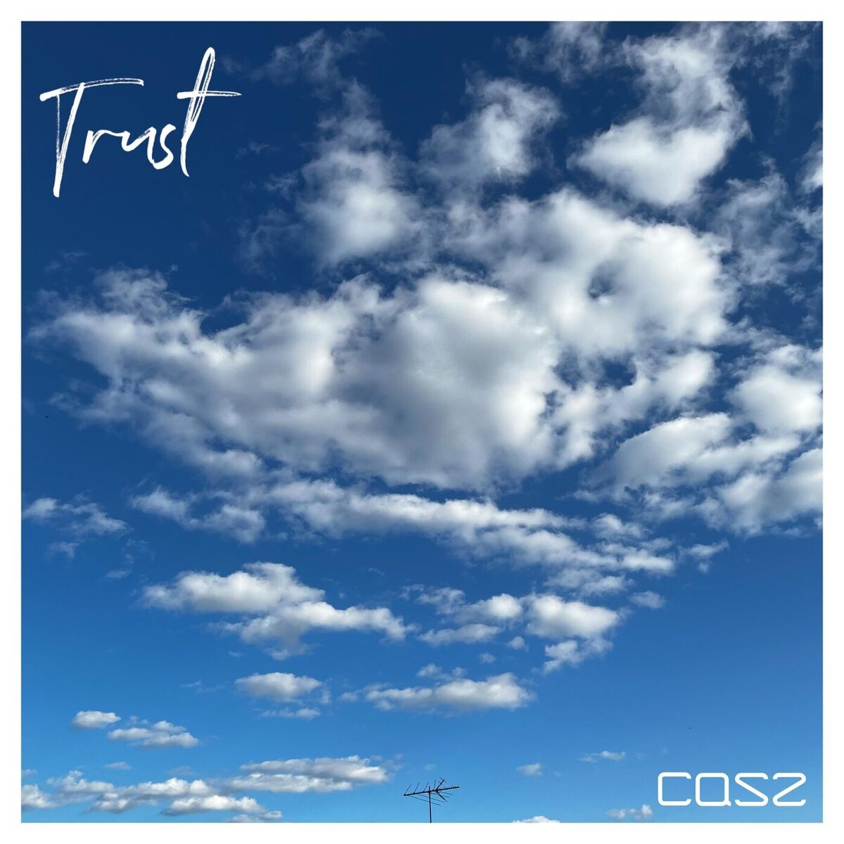 Album cover of Trust
