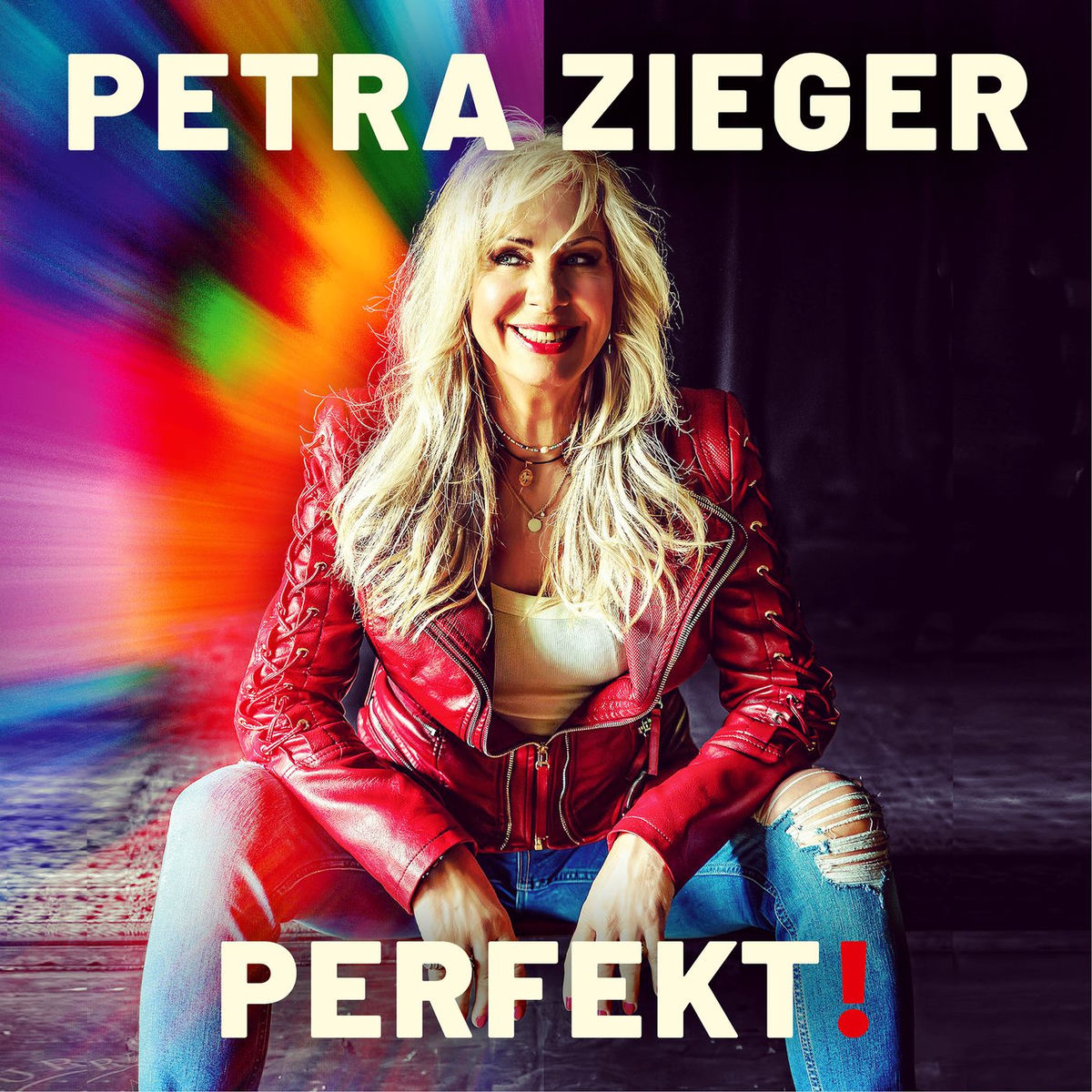 Album cover of Perfekt!