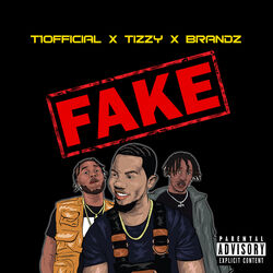Cover of Fake