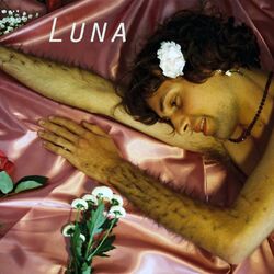 Cover of Luna