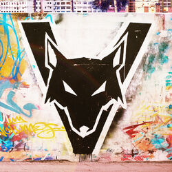 Cover of Different Animals