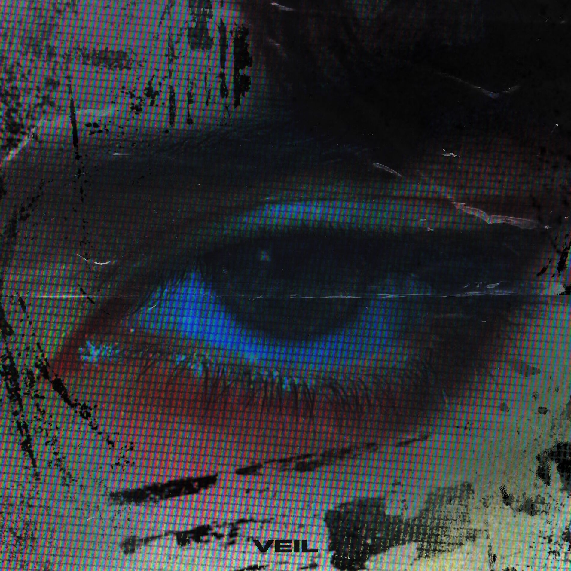 Album cover of veil