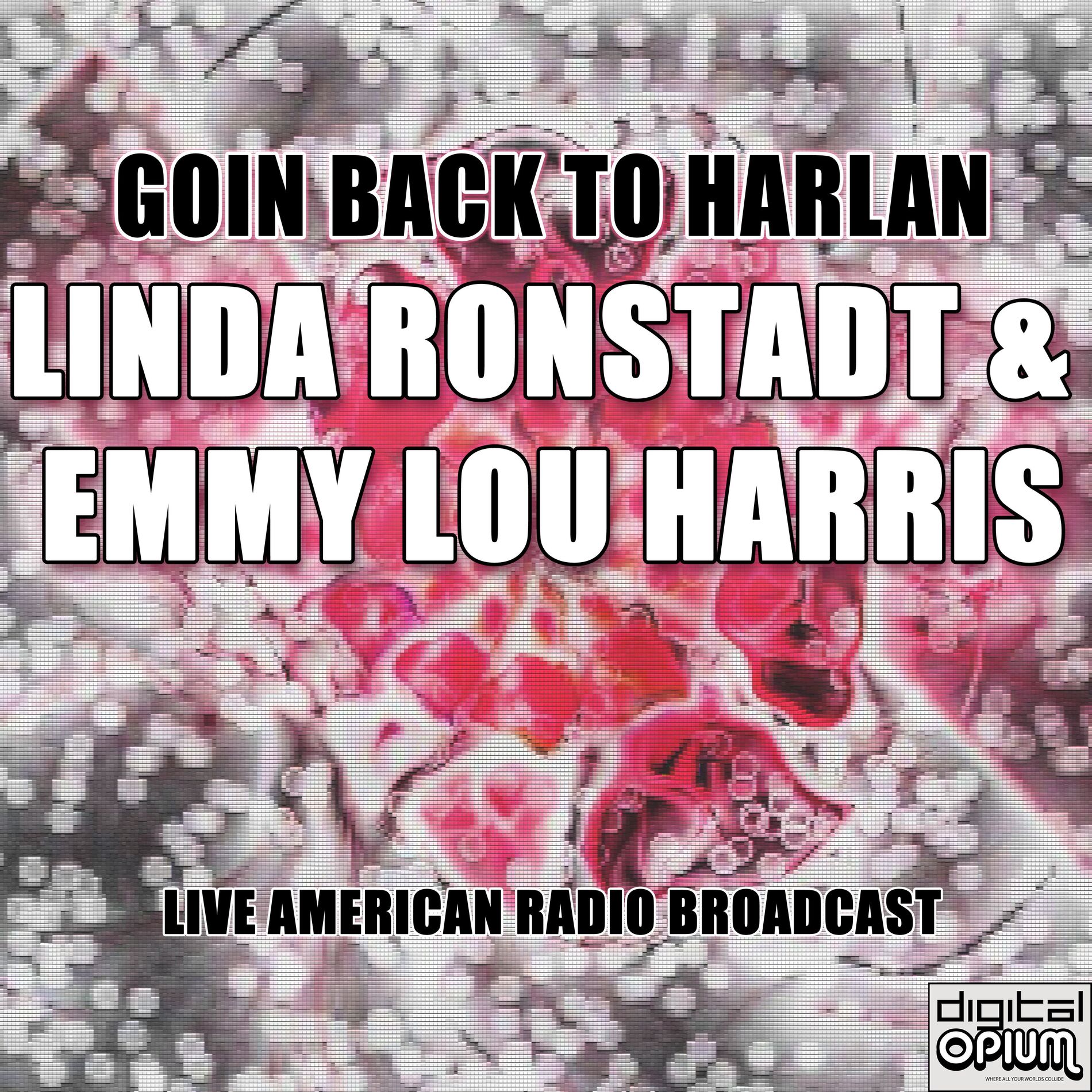 Album cover of Goin Back To Harlan (Live)