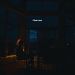 Cover of Disappear