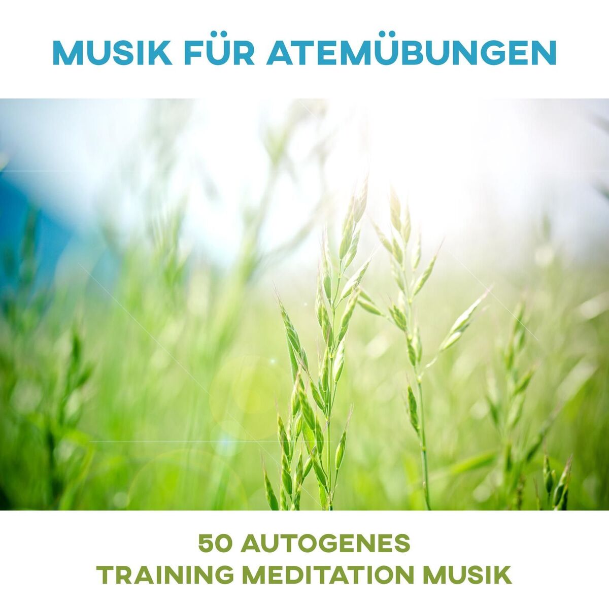 Album cover of Musik für Atemübungen: 50 Autogenes Training Meditation Musik, Naturgeräusche und Asian Zen Musik für Yoga, Stressabbau - Zeit für