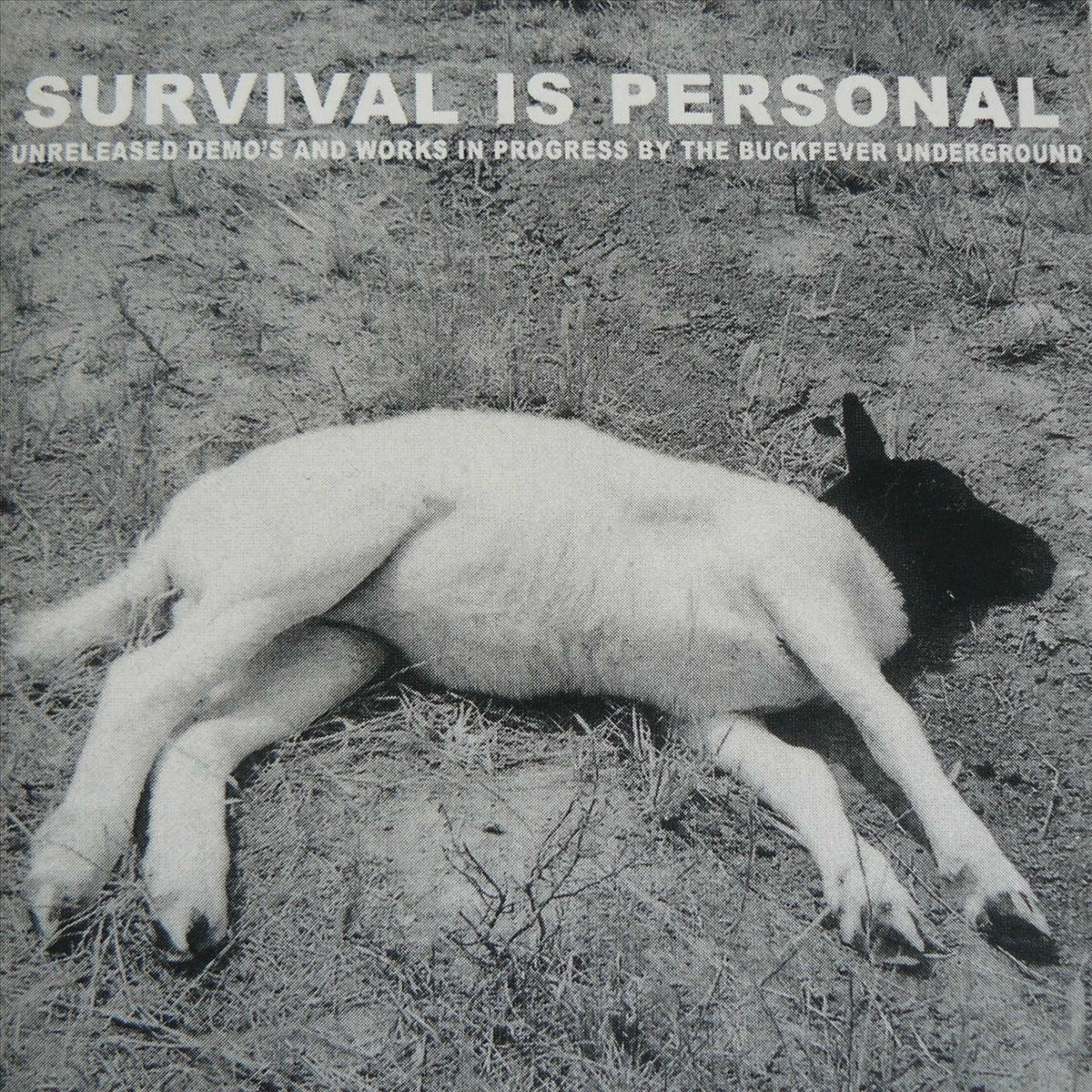 Album cover of Survival Is Personal