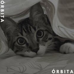 Cover of ÓRBITA