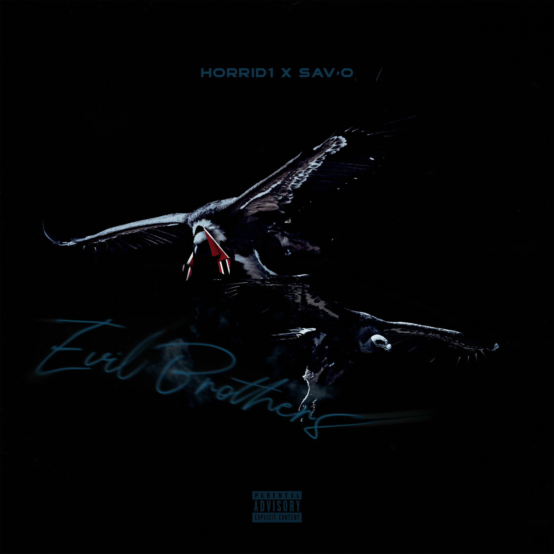 Album cover of Evil Brothers