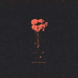 Cover of Non l'hai detto mai