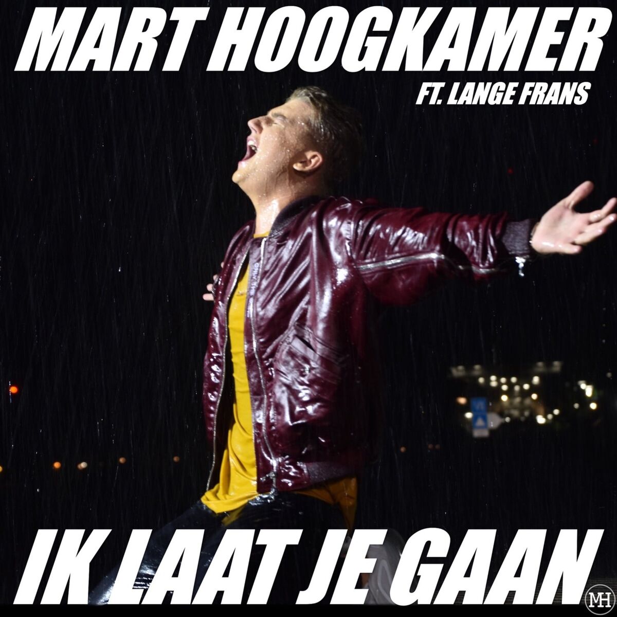 Album cover of Ik Laat Je Gaan