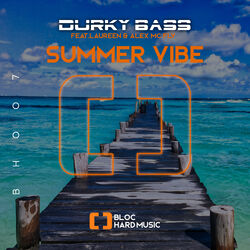 Cover of Summer Vibes