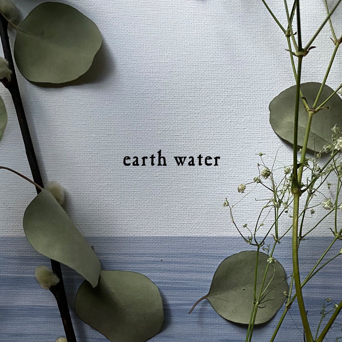 Album cover of Earth Water