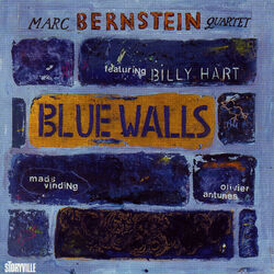 Cover of Blue Walls