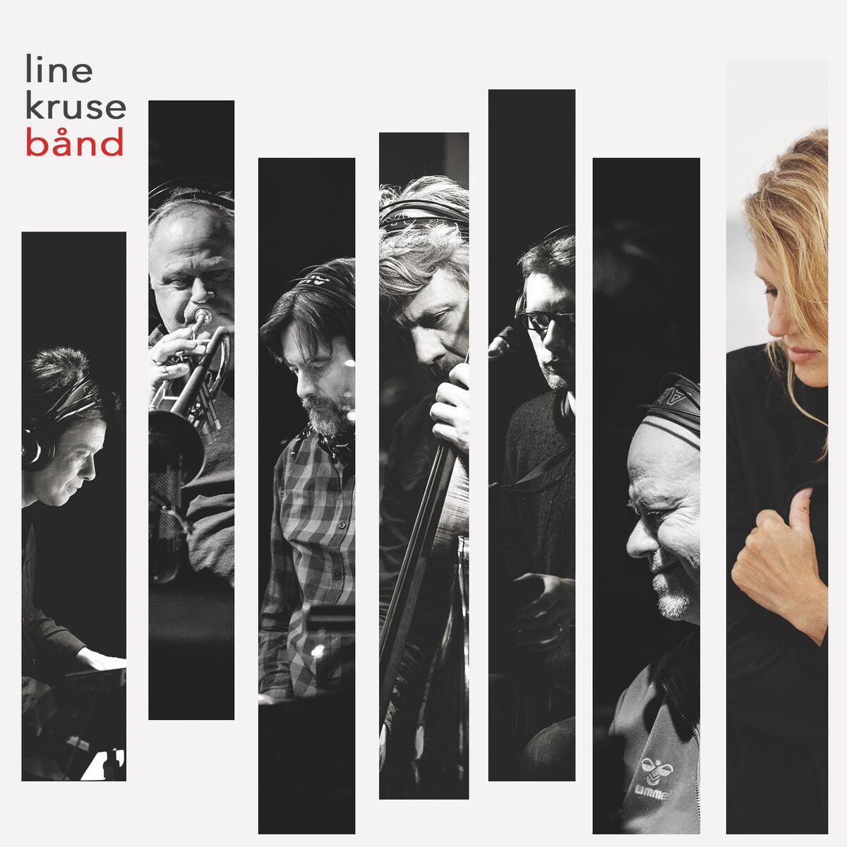 Album cover of Wings