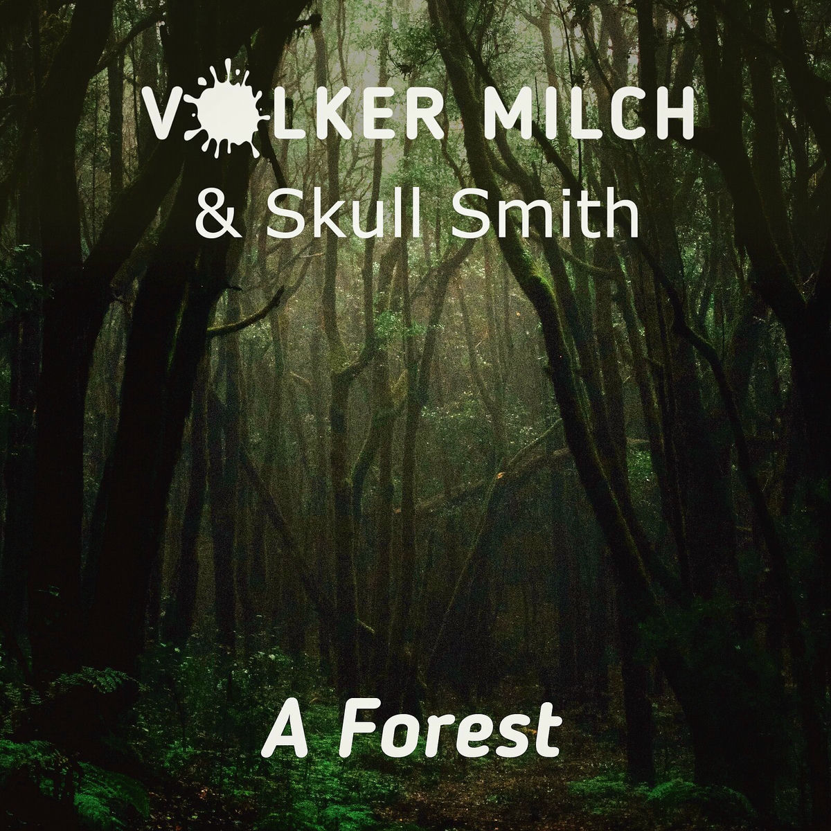 Album cover of A Forest